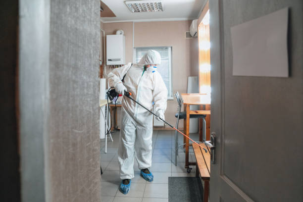 Best Mold-Related Health Consultation  in Summerville, GA