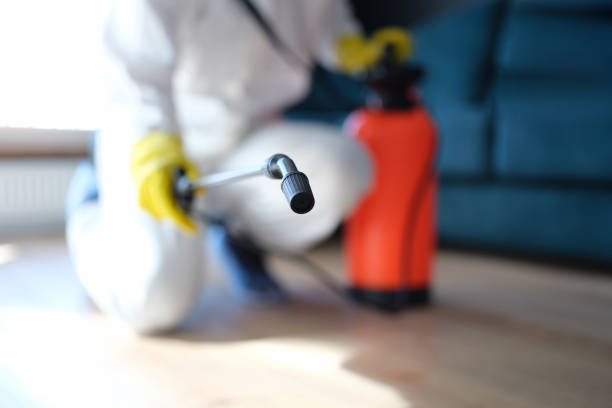 Best Mold Prevention Services  in Summerville, GA