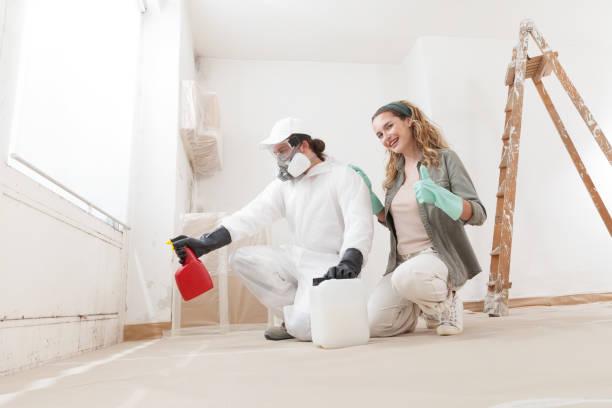 Asbestos and Lead Testing During Mold Inspection in Summerville, GA