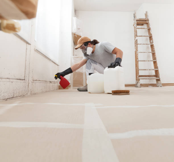  Summerville, GA Mold Removal Pros