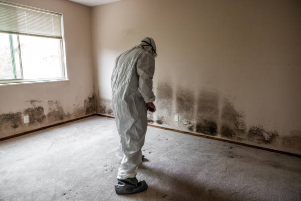 Mold Remediation for Vacation Homes in Summerville, GA