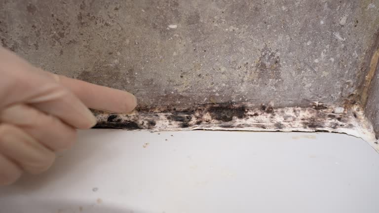 Best Comprehensive Air Testing for Mold Contaminants  in Summerville, GA